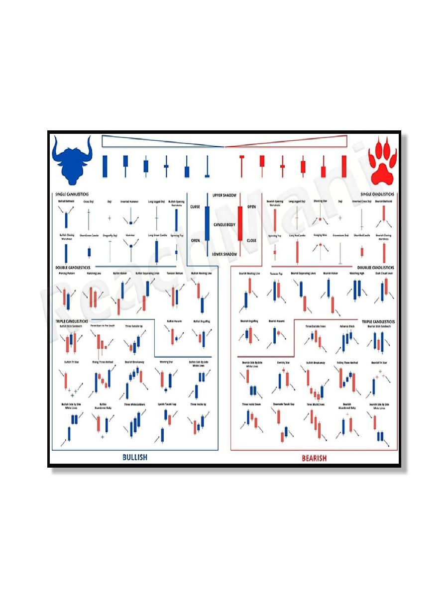 Plakat z wzorami candlesticków – Badminton Poster recenzja i cena