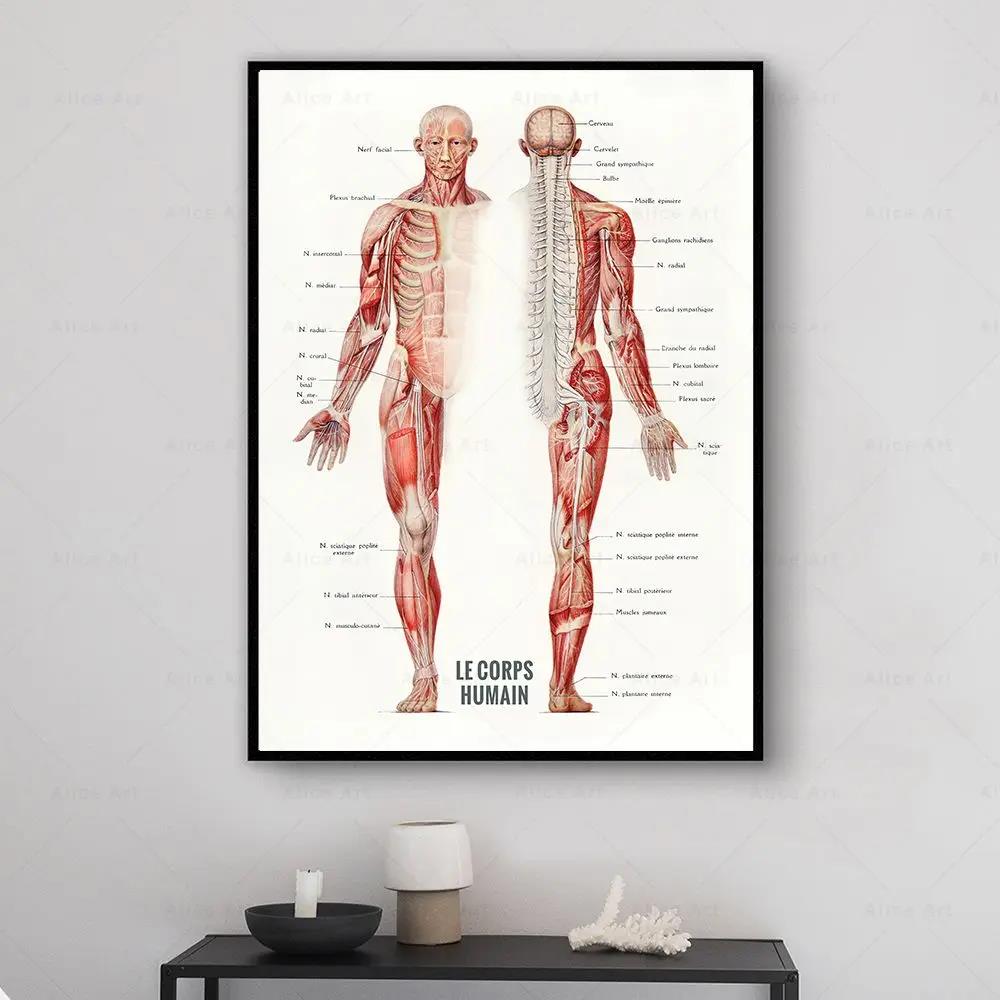 Plakaty na płótnie z anatomią  – Badminton Poster recenzja i cena