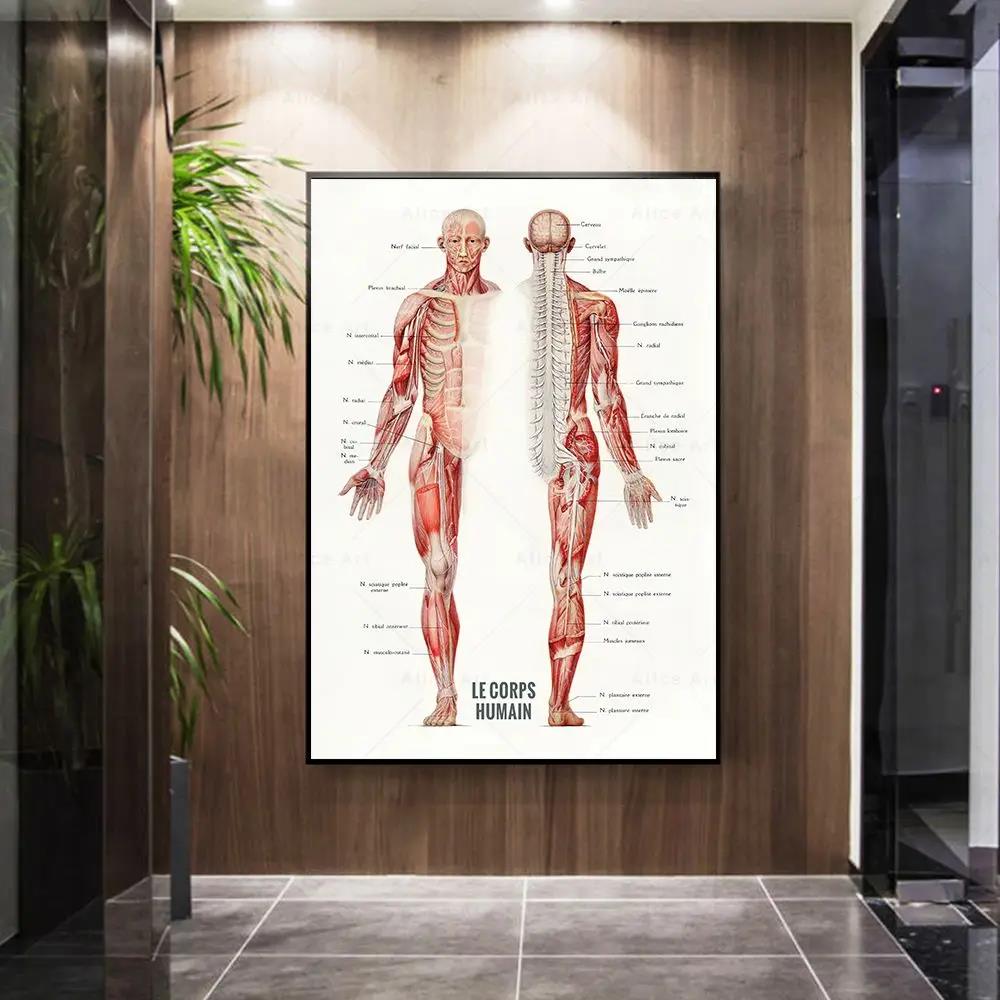 Plakaty na płótnie z anatomią  – Badminton Poster recenzja i cena